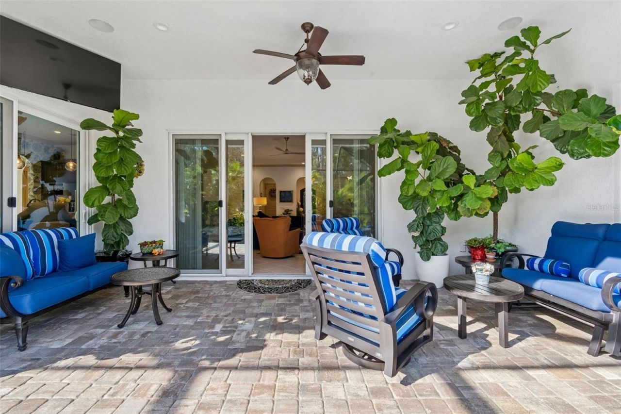 29118 Picana Lane, Wesley Chapel, FL 33543 Photo