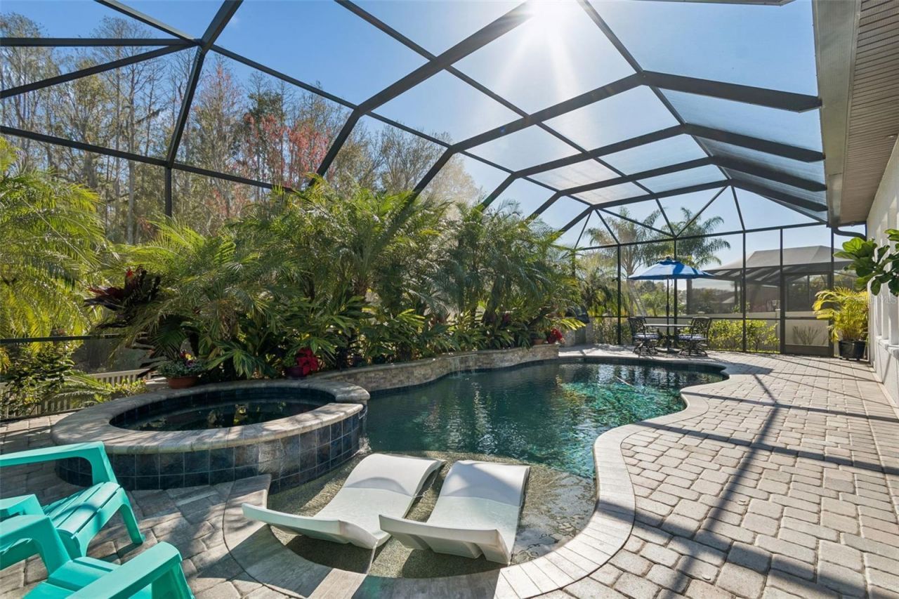 29118 Picana Lane, Wesley Chapel, FL 33543 Photo