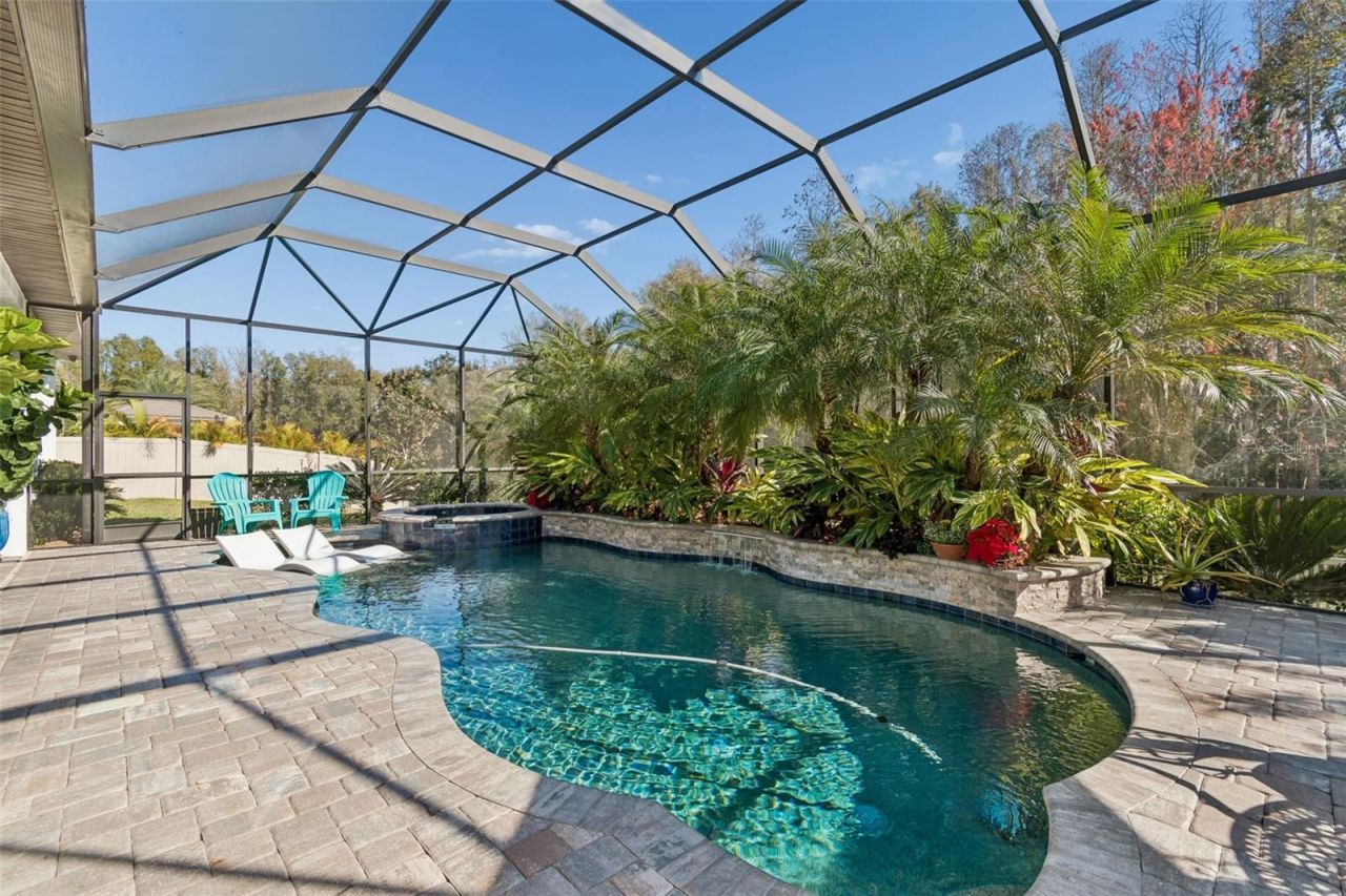 29118 Picana Lane, Wesley Chapel, FL 33543 Photo