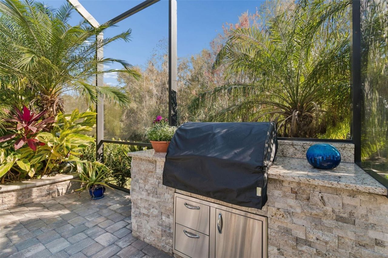 29118 Picana Lane, Wesley Chapel, FL 33543 Photo