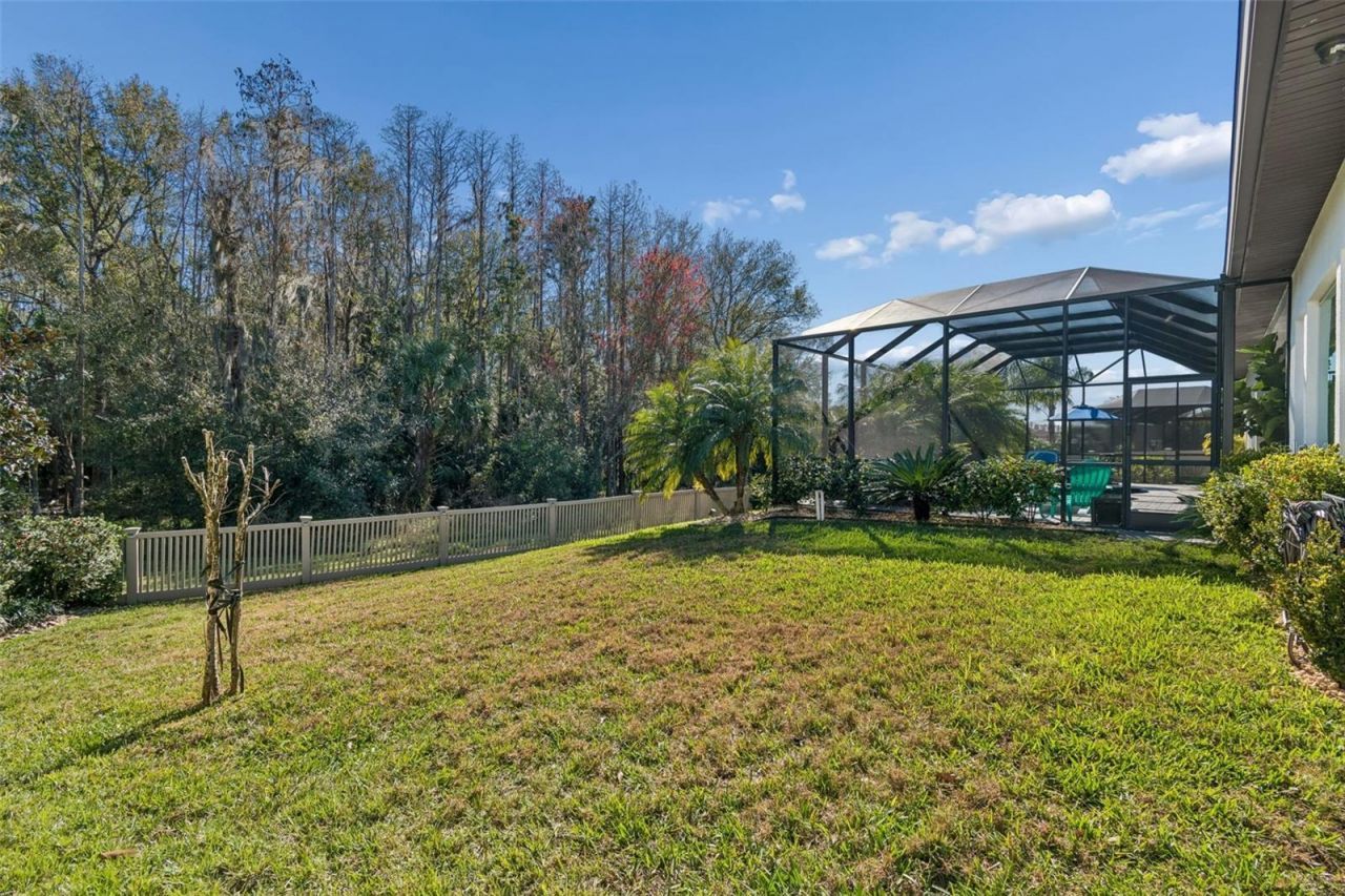 29118 Picana Lane, Wesley Chapel, FL 33543 Photo