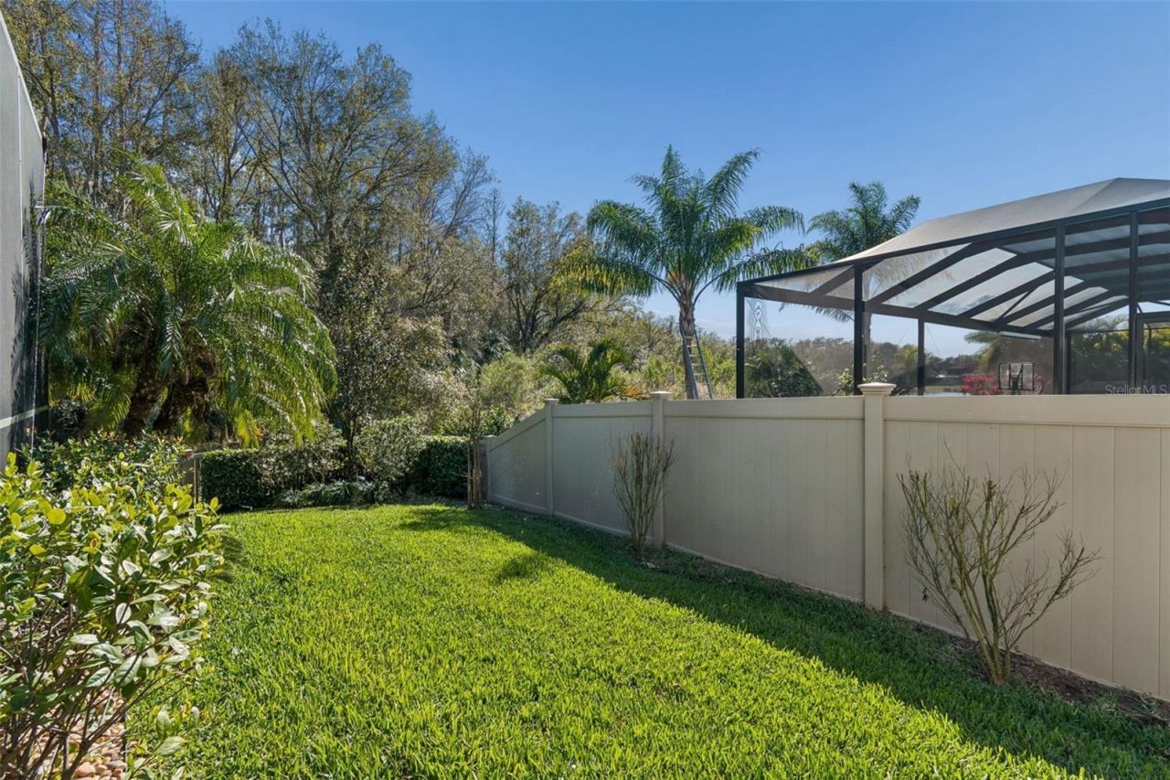 29118 Picana Lane, Wesley Chapel, FL 33543 Photo