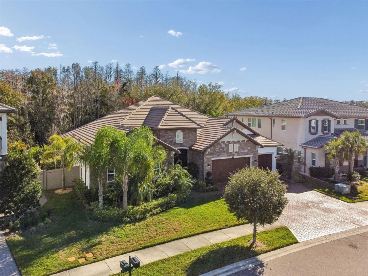 29118 Picana Lane, Wesley Chapel, FL 33543 Photo