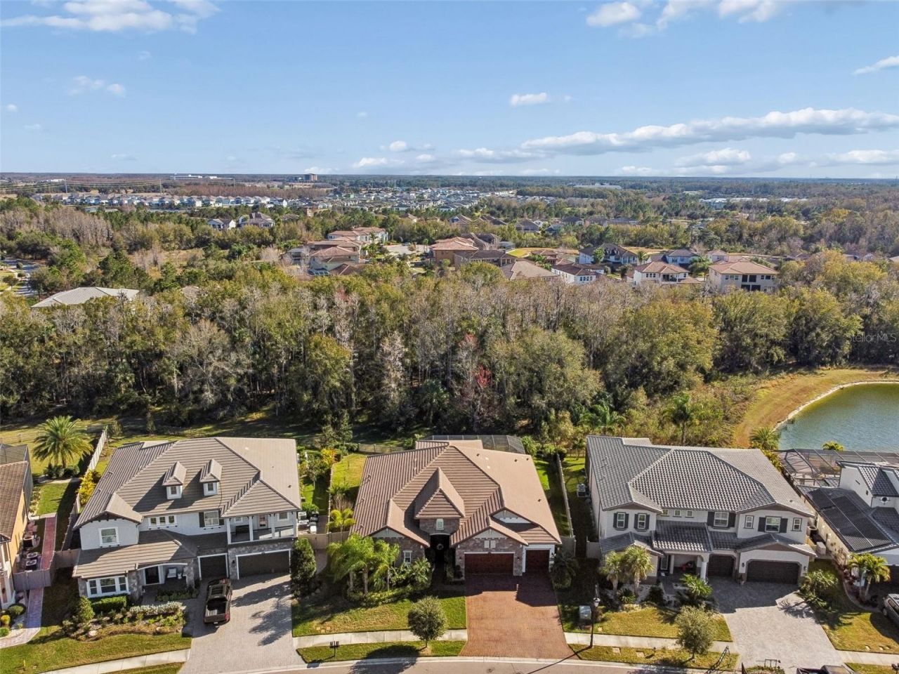 29118 Picana Lane, Wesley Chapel, FL 33543 Photo