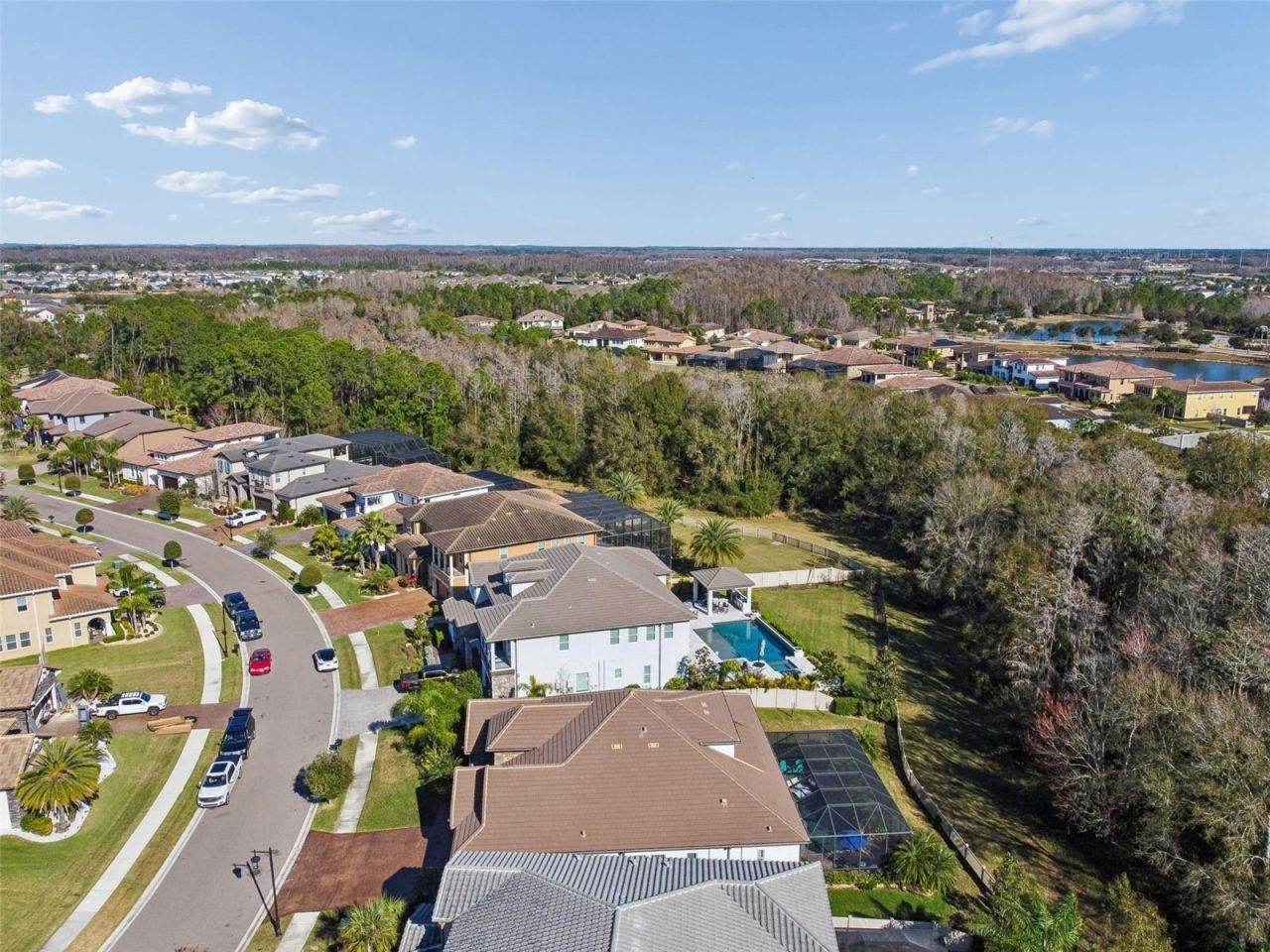 29118 Picana Lane, Wesley Chapel, FL 33543 Photo