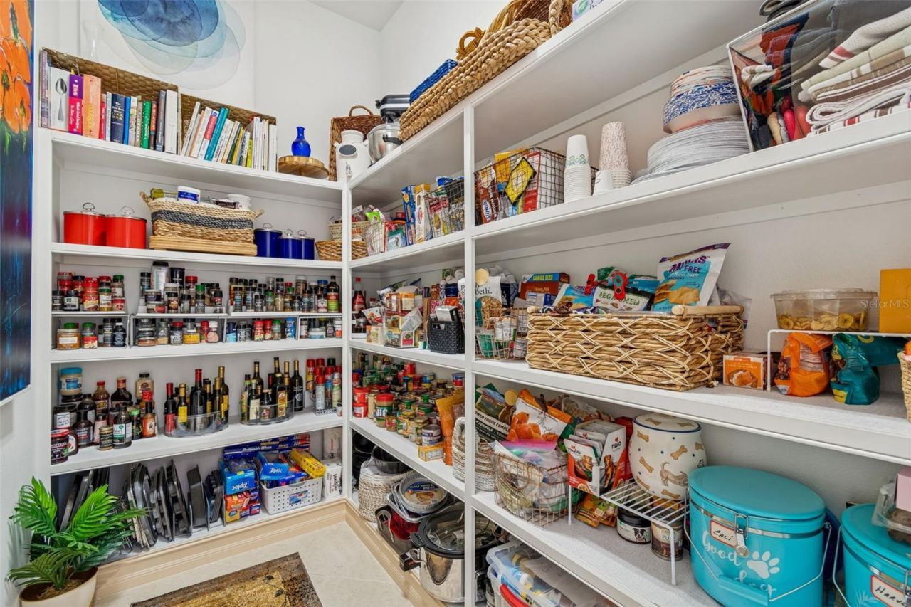 29118 Picana Lane, Wesley Chapel, FL 33543 Photo