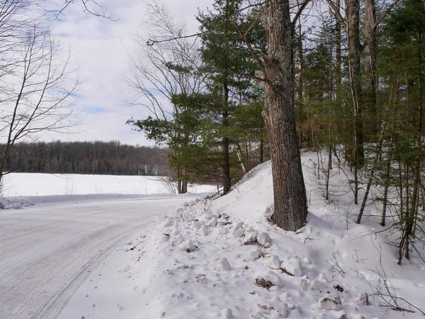 +/-.544 Acre SALEM LAKE ROAD, Medford, WI 54451