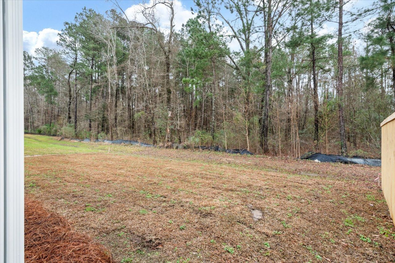 361 Blue Oak Drive Photo 47