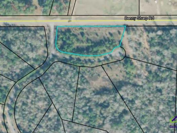 0 Benny Sharp Road, Hawkinsville, GA 31036