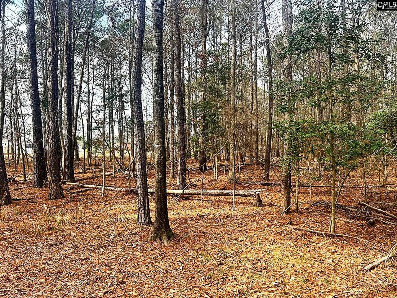 0 Circle H Woods Road  Photo 10