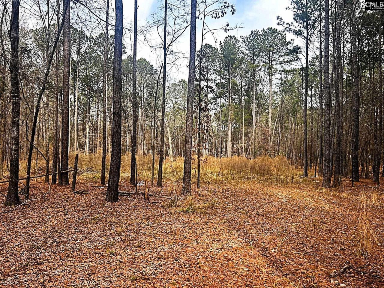 0 Circle H Woods Road  Photo 11