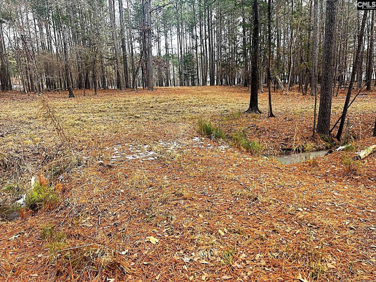 0 Circle H Woods Road  Photo 12