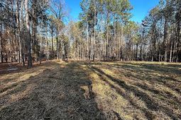 0 Circle H Woods Road  photo 4