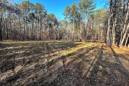 0 Circle H Woods Road  photo 4