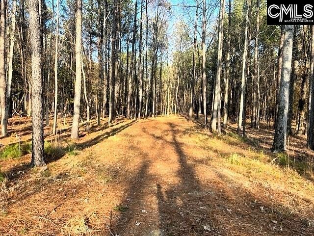 0 Circle H Woods Road  Photo 4