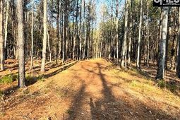 0 Circle H Woods Road  photo 4