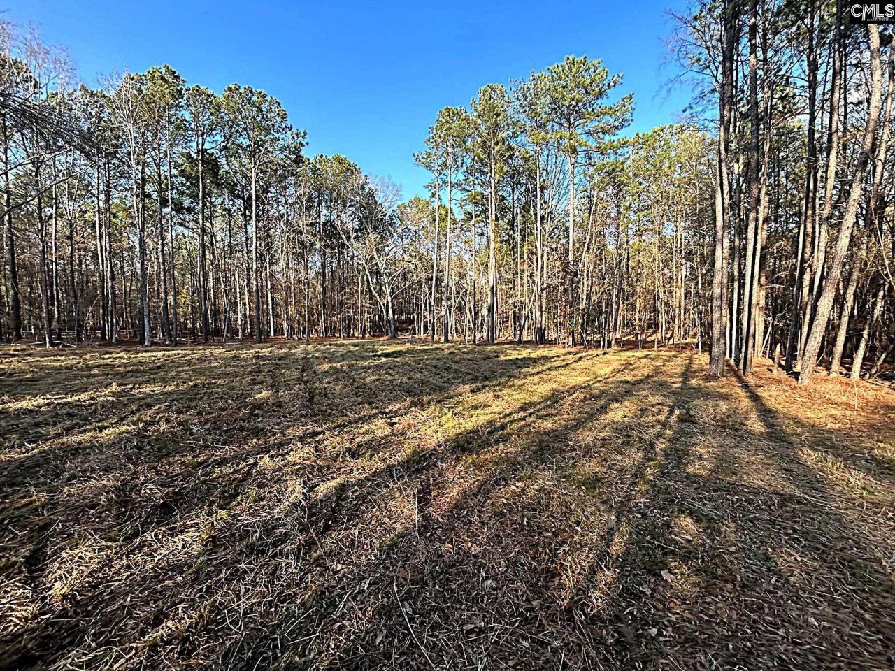 0 Circle H Woods Road  Photo 5