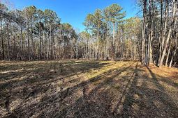 0 Circle H Woods Road  photo 4