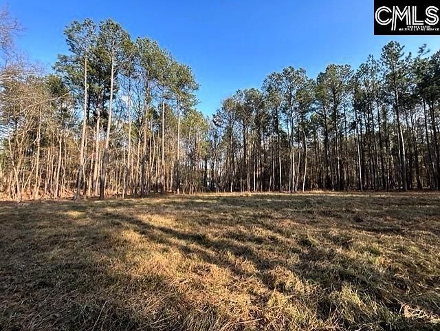 0 Circle H Woods Road  Photo 6