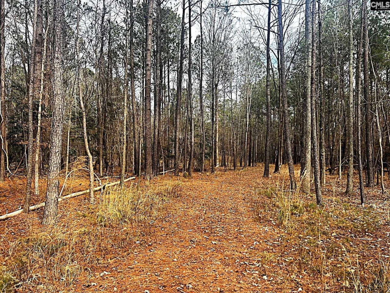 0 Circle H Woods Road  Photo 7