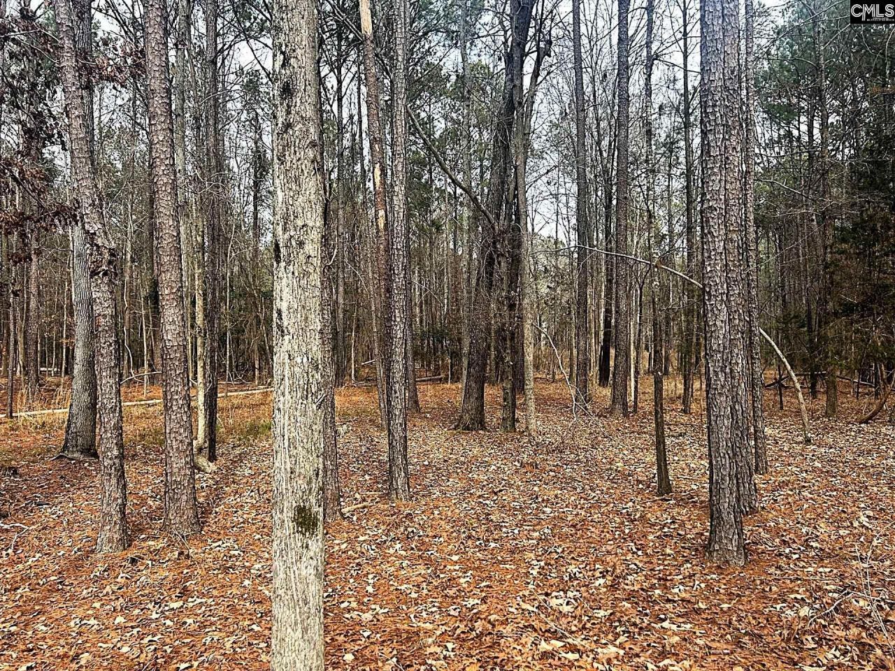 0 Circle H Woods Road  Photo 8