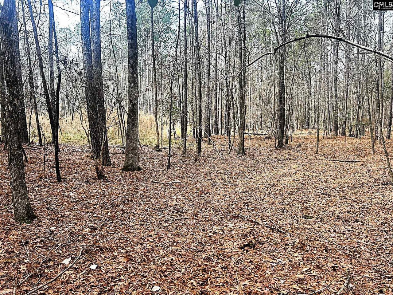 0 Circle H Woods Road  Photo 9