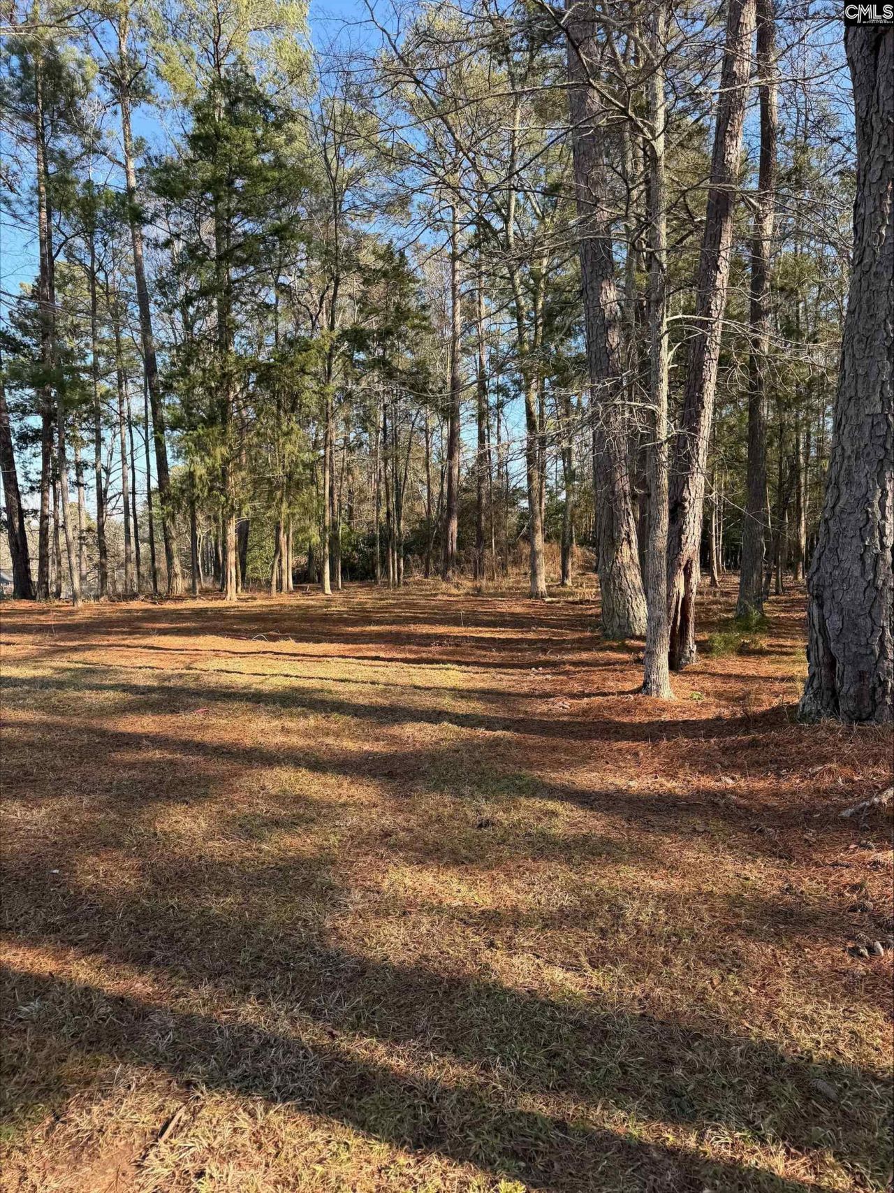 259 Gravel Road Photo 21