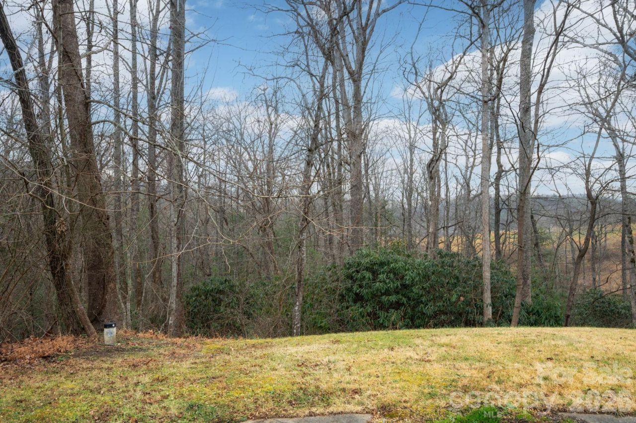 38 Gollum Drive, Fairview, NC 28730 Main Photo