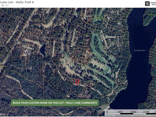 TBD Holly Trail, Holly Lake Ranch, TX 75765