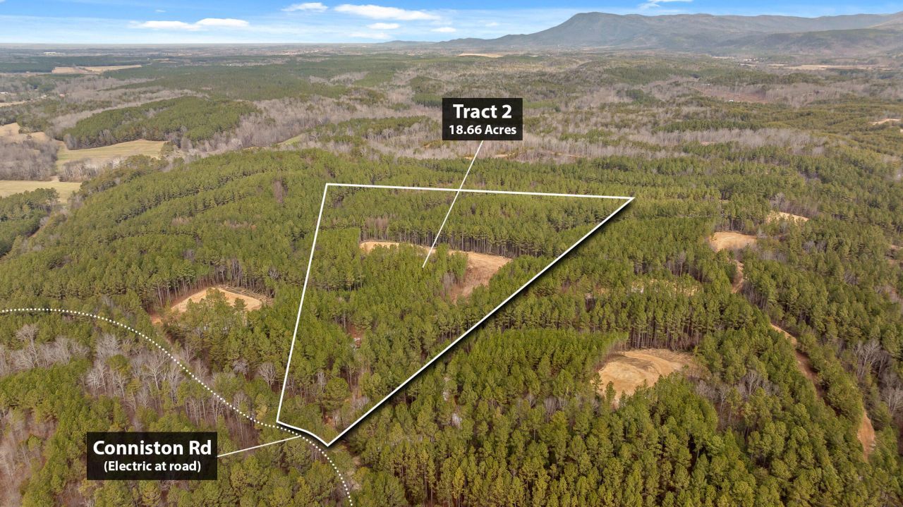 Tract 2 Conniston Road, Chatsworth, GA 30705 Main Photo