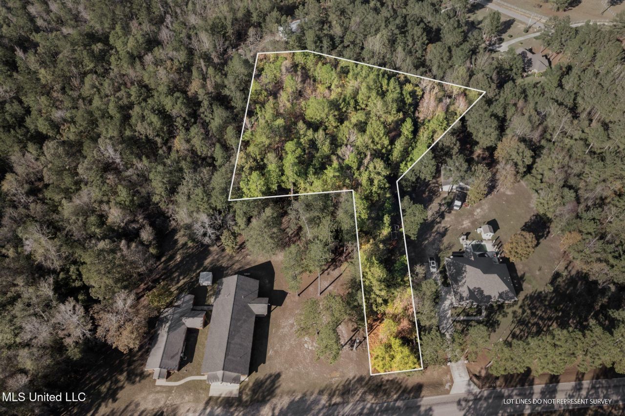 2.50 Acres Old Okahola School Road, Purvis, MS 39475 Main Photo