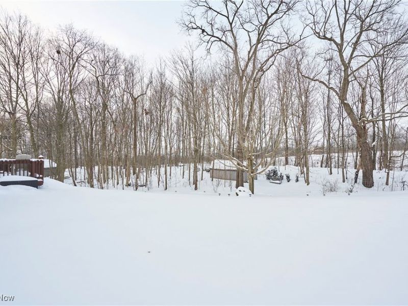 820 Lawrence Drive, Wadsworth, OH 44281 Photo 31