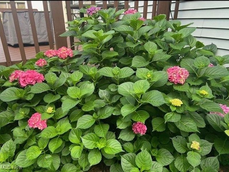 820 Lawrence Drive, Wadsworth, OH 44281 Photo 35