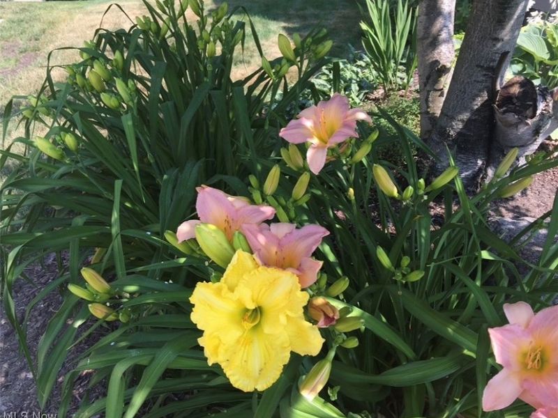 820 Lawrence Drive, Wadsworth, OH 44281 Photo 36