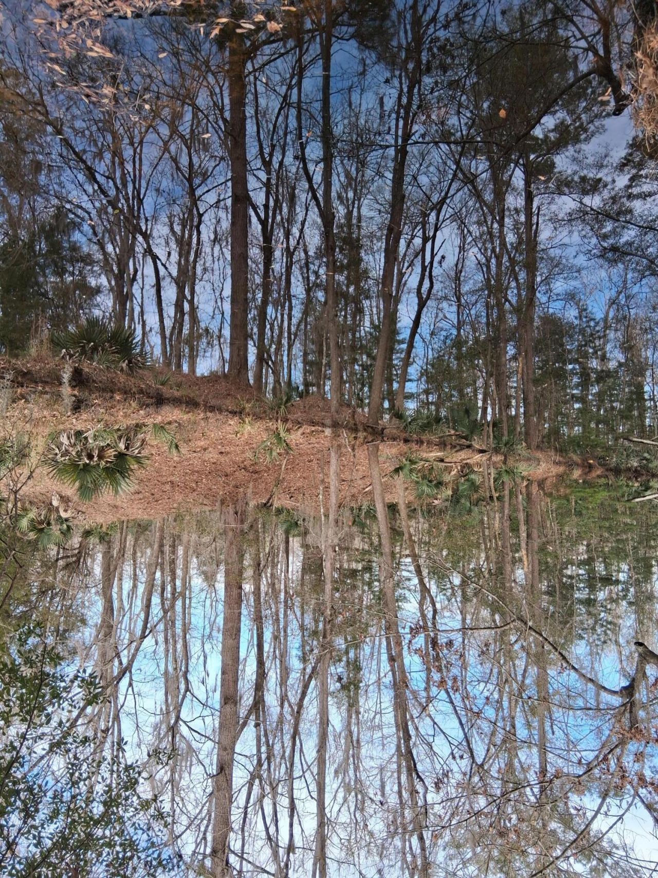 0 Crumley Road Photo 4