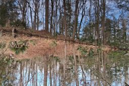 0 Crumley Road photo 4