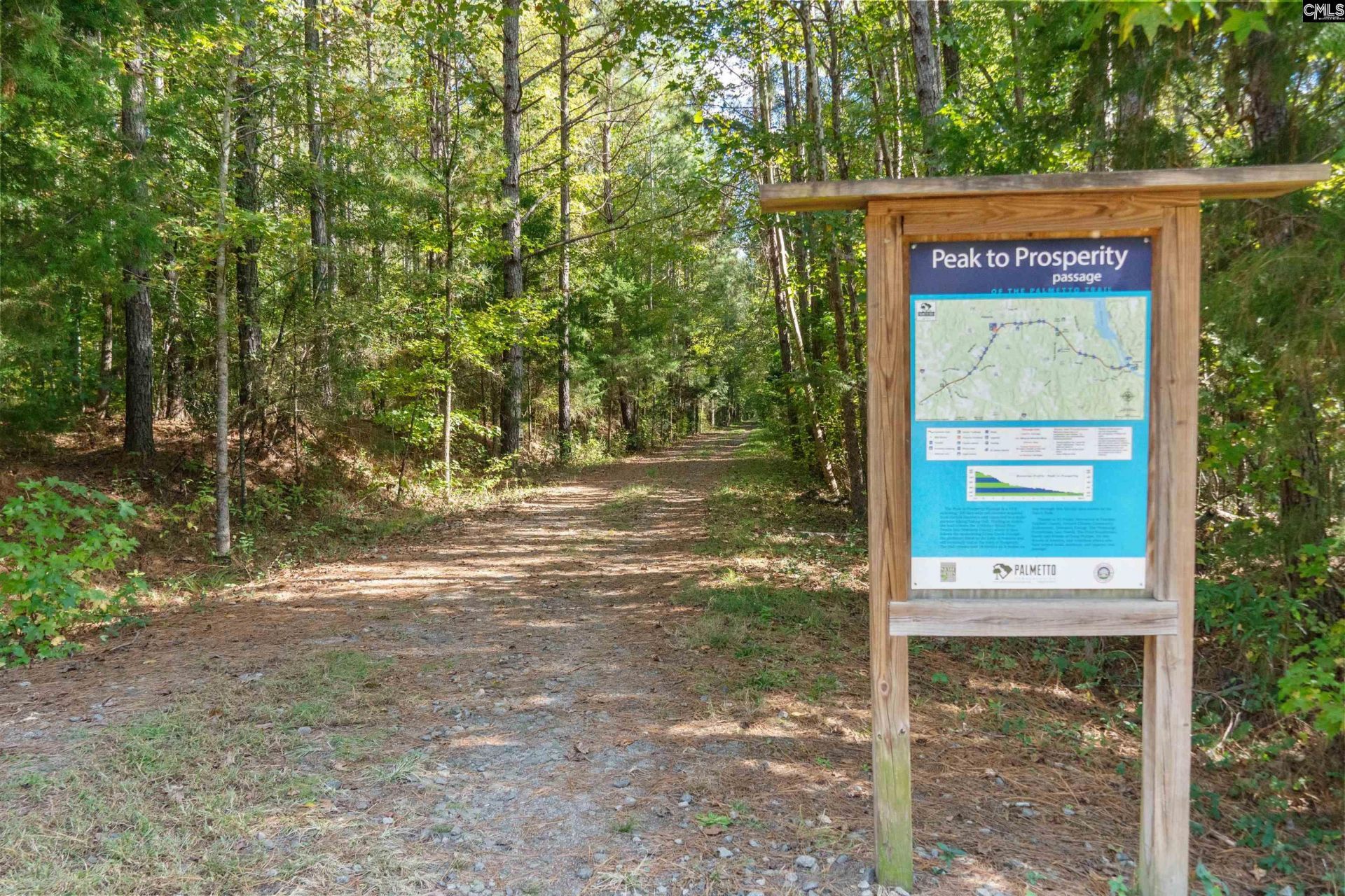 294 Caballeros Trail  Photo 40