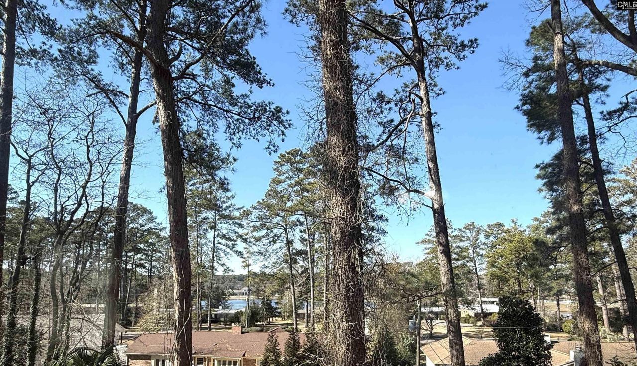 6033 Robinwood Road Photo 33