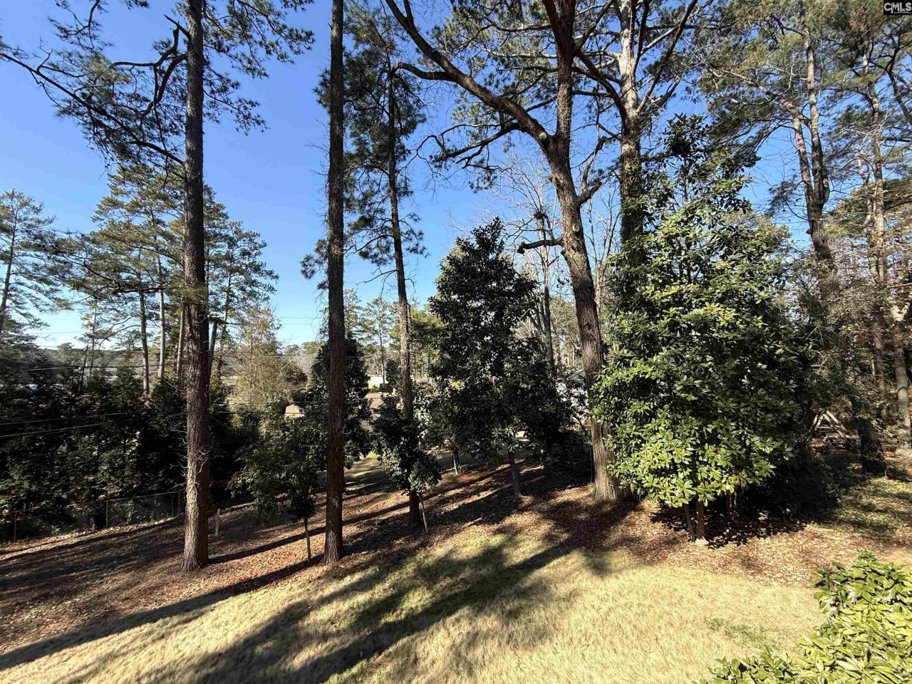 6033 Robinwood Road  Photo 53