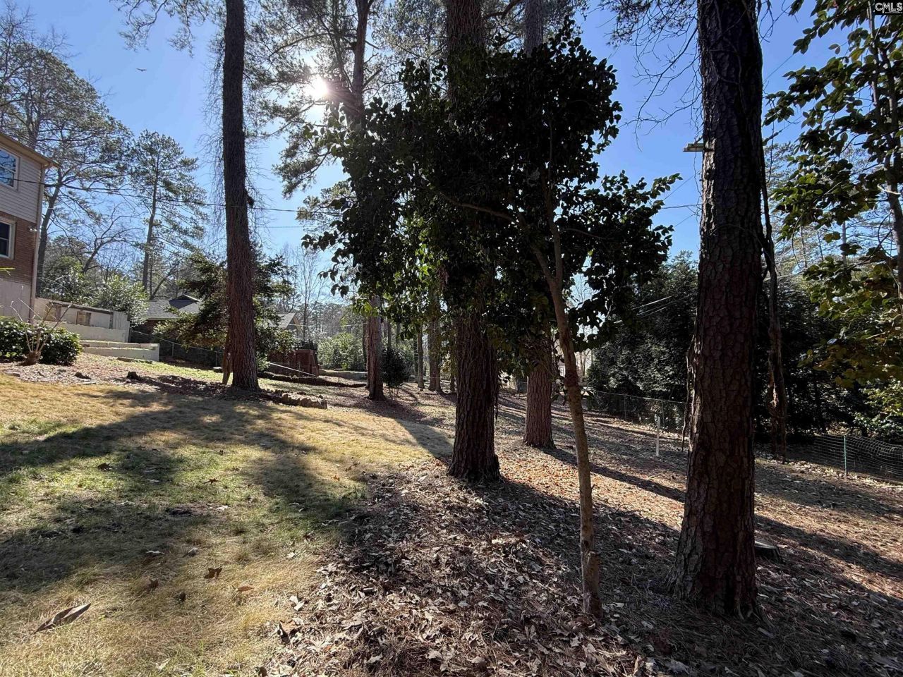 6033 Robinwood Road Photo 53