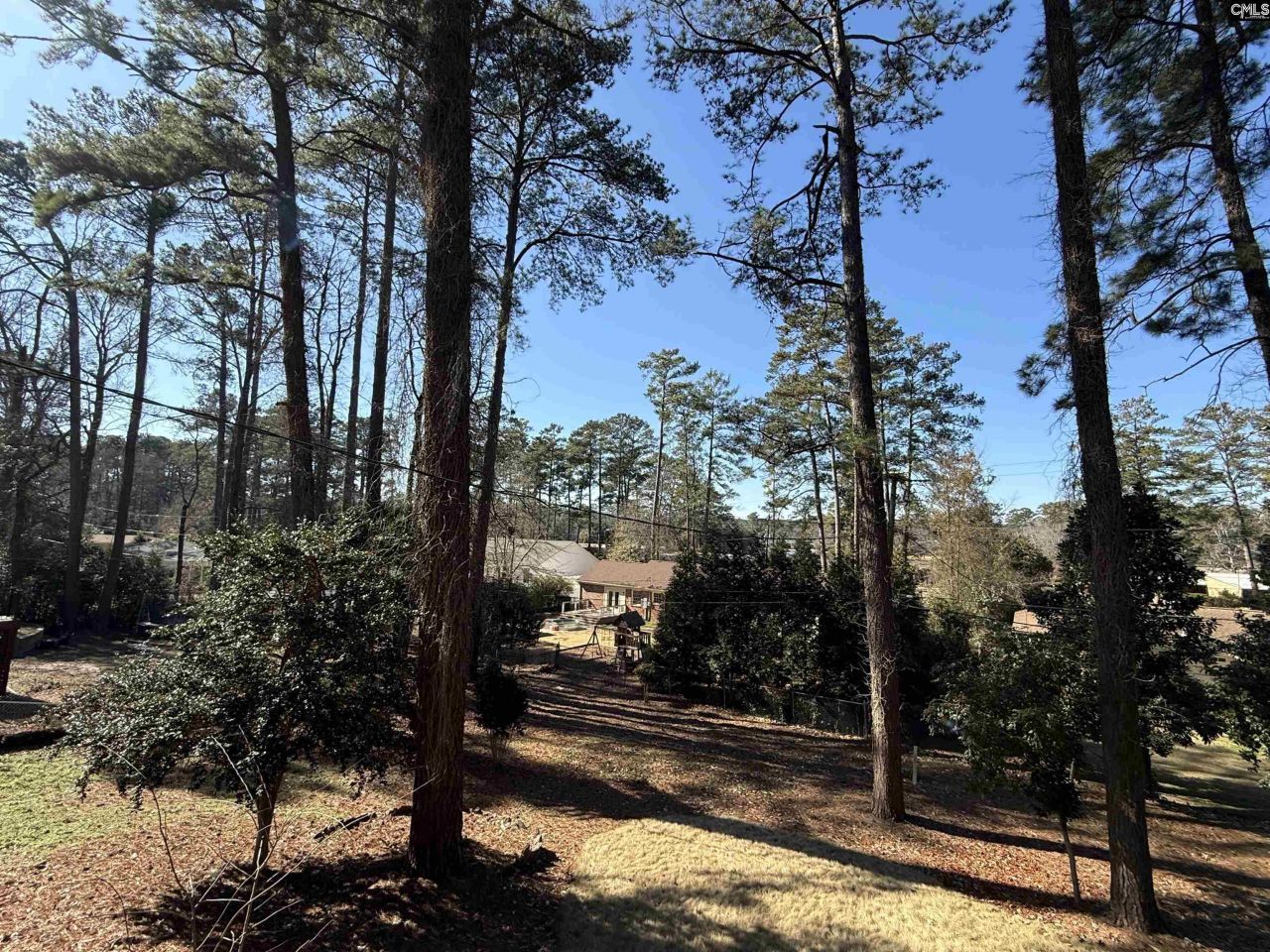 6033 Robinwood Road Photo 56