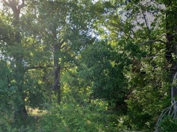 15227 County Road 2370, Streetman, TX 75859