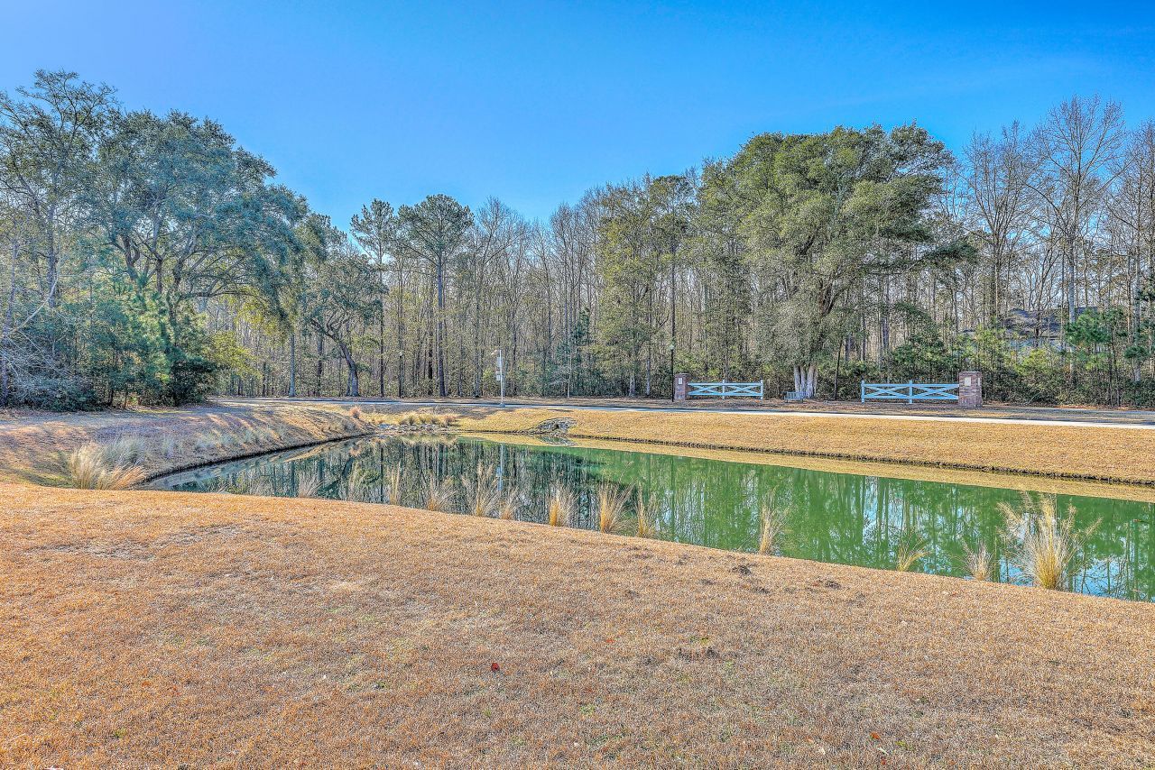 1031 Banker Court Photo 39