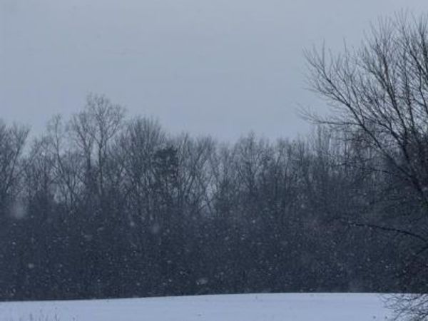 VL Levalley Road, Columbiaville Vlg, MI 48421