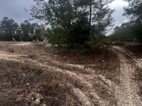 226 RIDGE Road, Satsuma, FL 32189