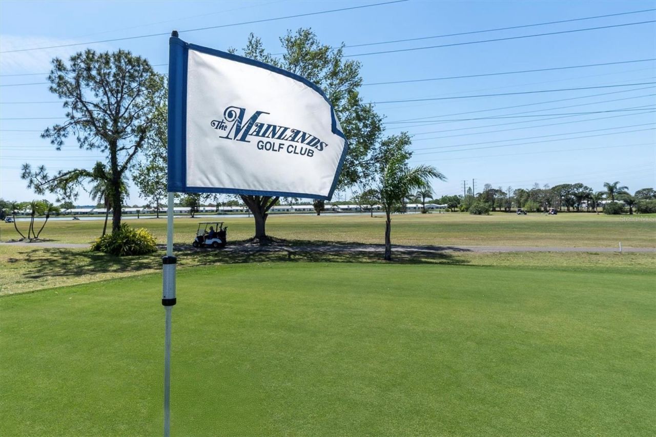 3808 97th Avenue N, Pinellas Park, FL 33782 Photo