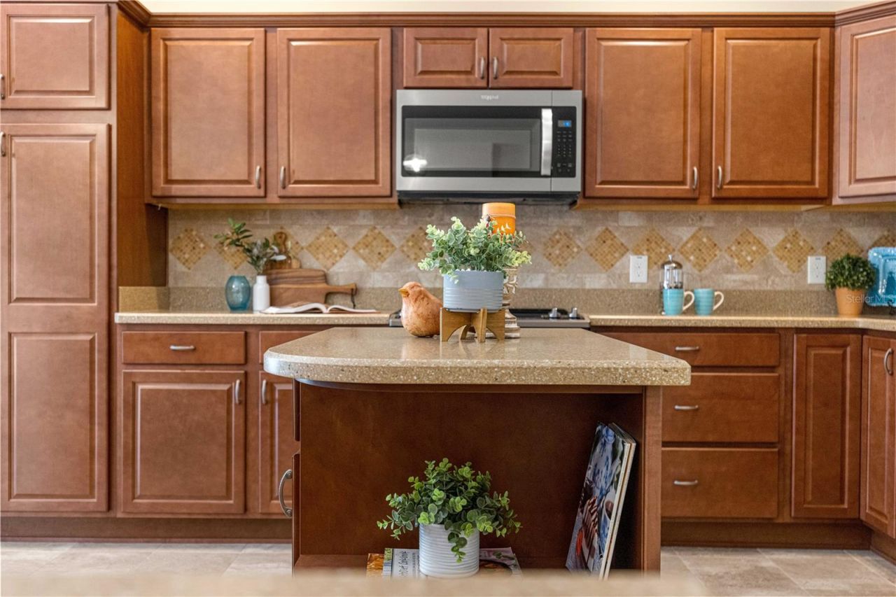 554 Socastee Place, The Villages, FL 32163 Photo