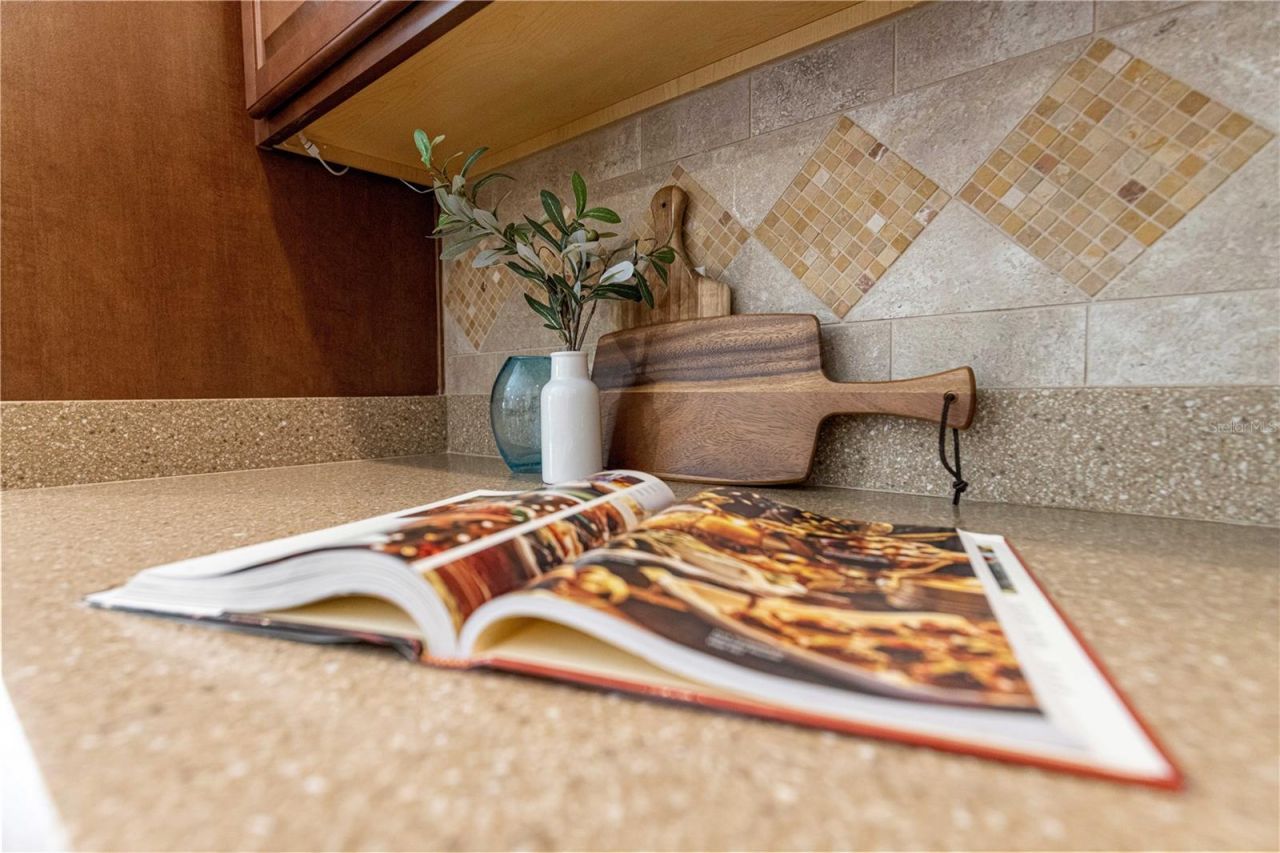 554 Socastee Place, The Villages, FL 32163 Photo