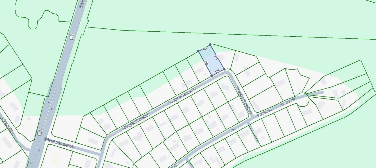 324 E E. Poplar Branch Drive Photo 3