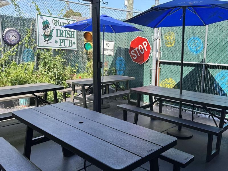 229 N Belmont Avenue, Springfield, OH 45503 Photo 26